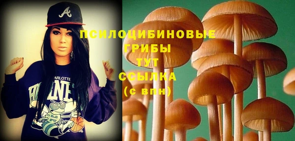 прущие крисы Арсеньев
